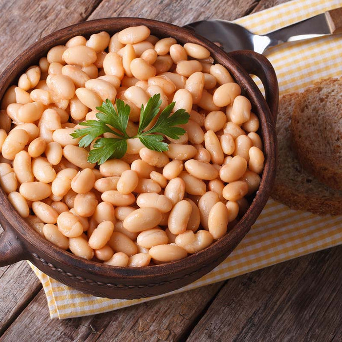 Beans: The Key to Longevity?