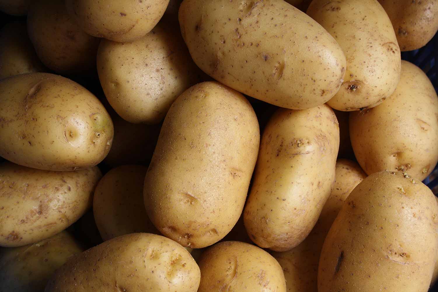 Potato Nutrition - San Nicasio Potato Chips - myPanier