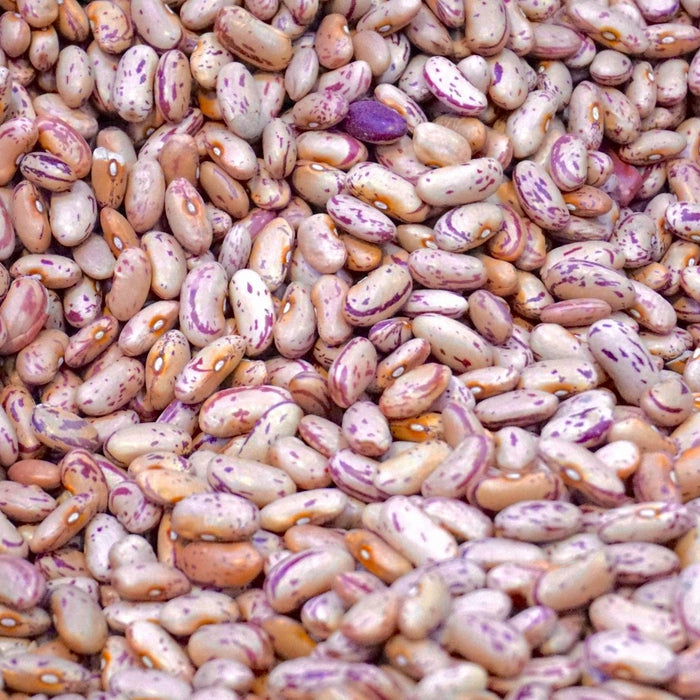 Beans: To Soak or Not to Soak?