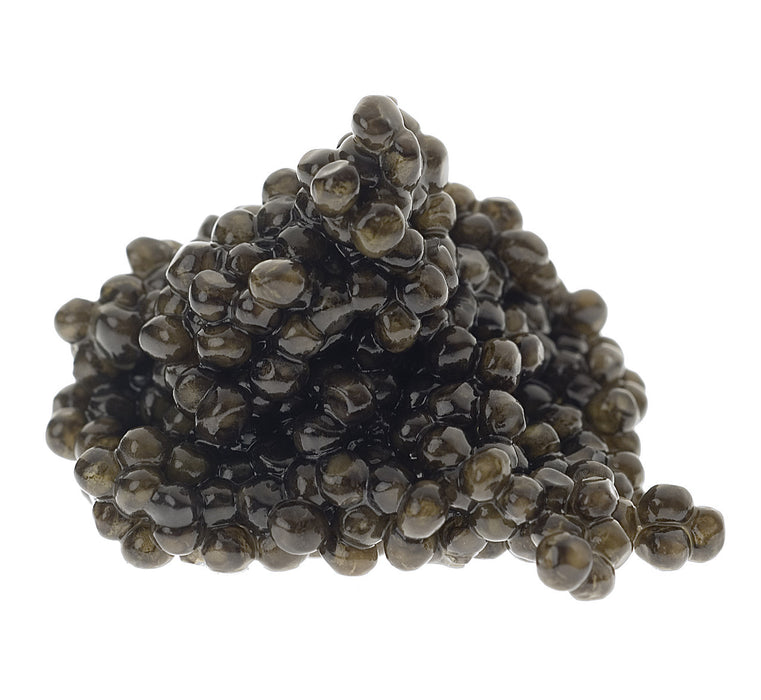 Tsar Nicoulai Caviar - Siberian Sturgeon Caviar, 1oz (28g) - myPanier