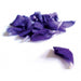 Les Anis de Flavigny - Violet Flavored Anise Candy, 50g (1.76oz) Tin - myPanier
