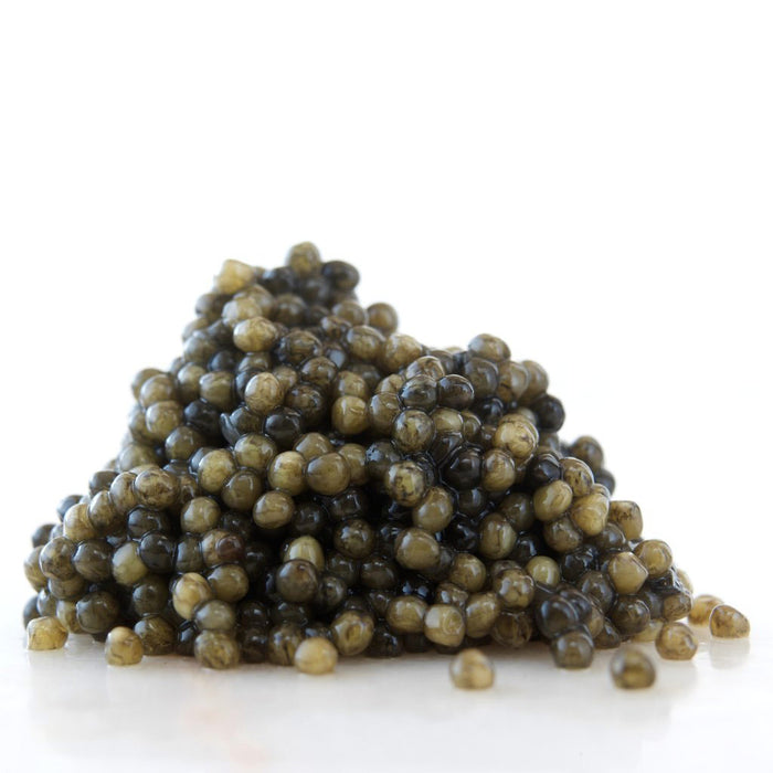 Tsar Nicoulai Caviar - 100% American White Sturgeon, Crown Jewel, 1oz (28g) - myPanier