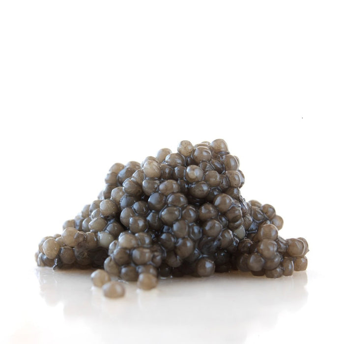 Tsar Nicoulai Caviar - 100% American White Sturgeon, Reserve - myPanier